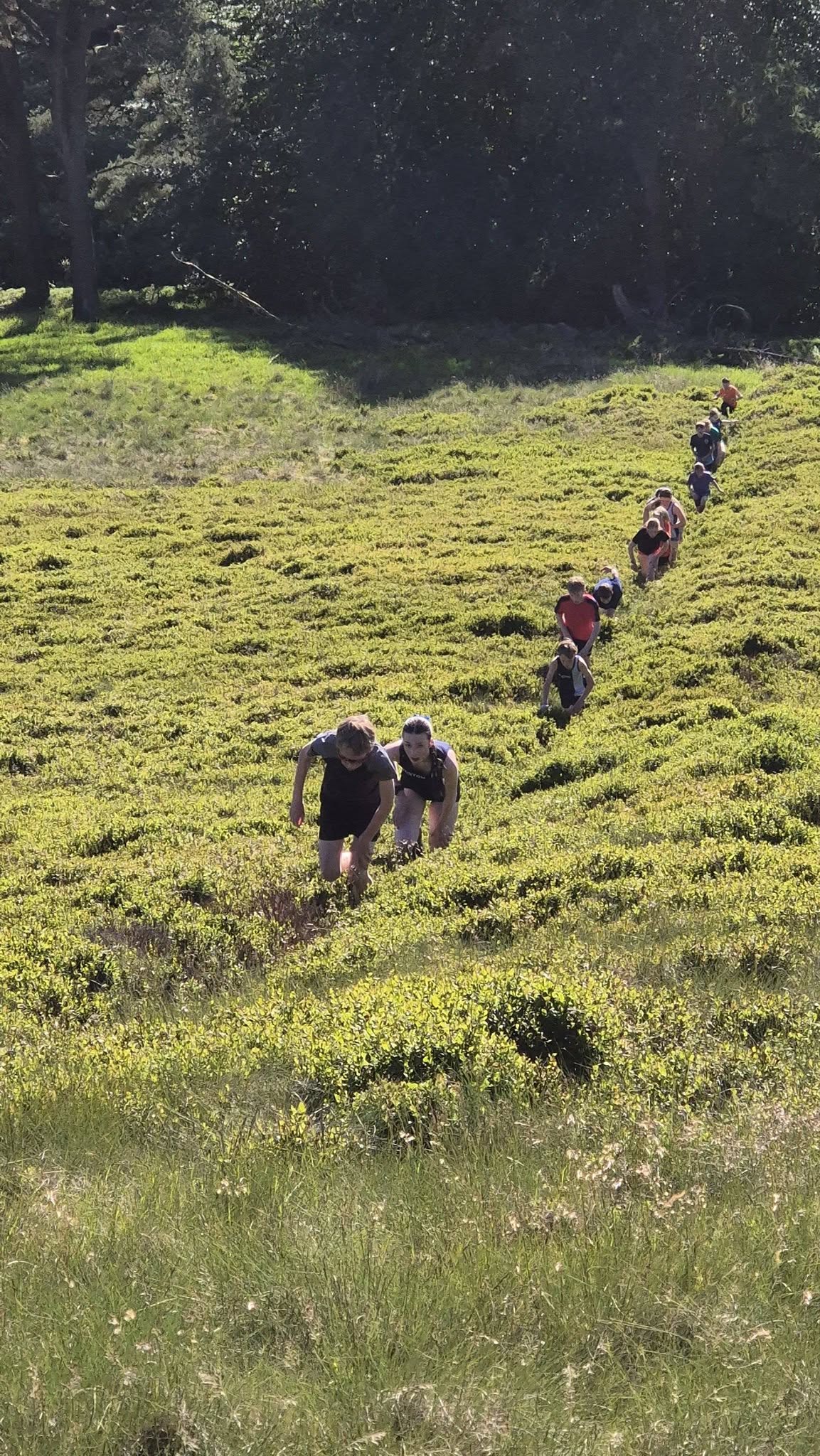 Junior runners climbing a sunny Peak District hillside