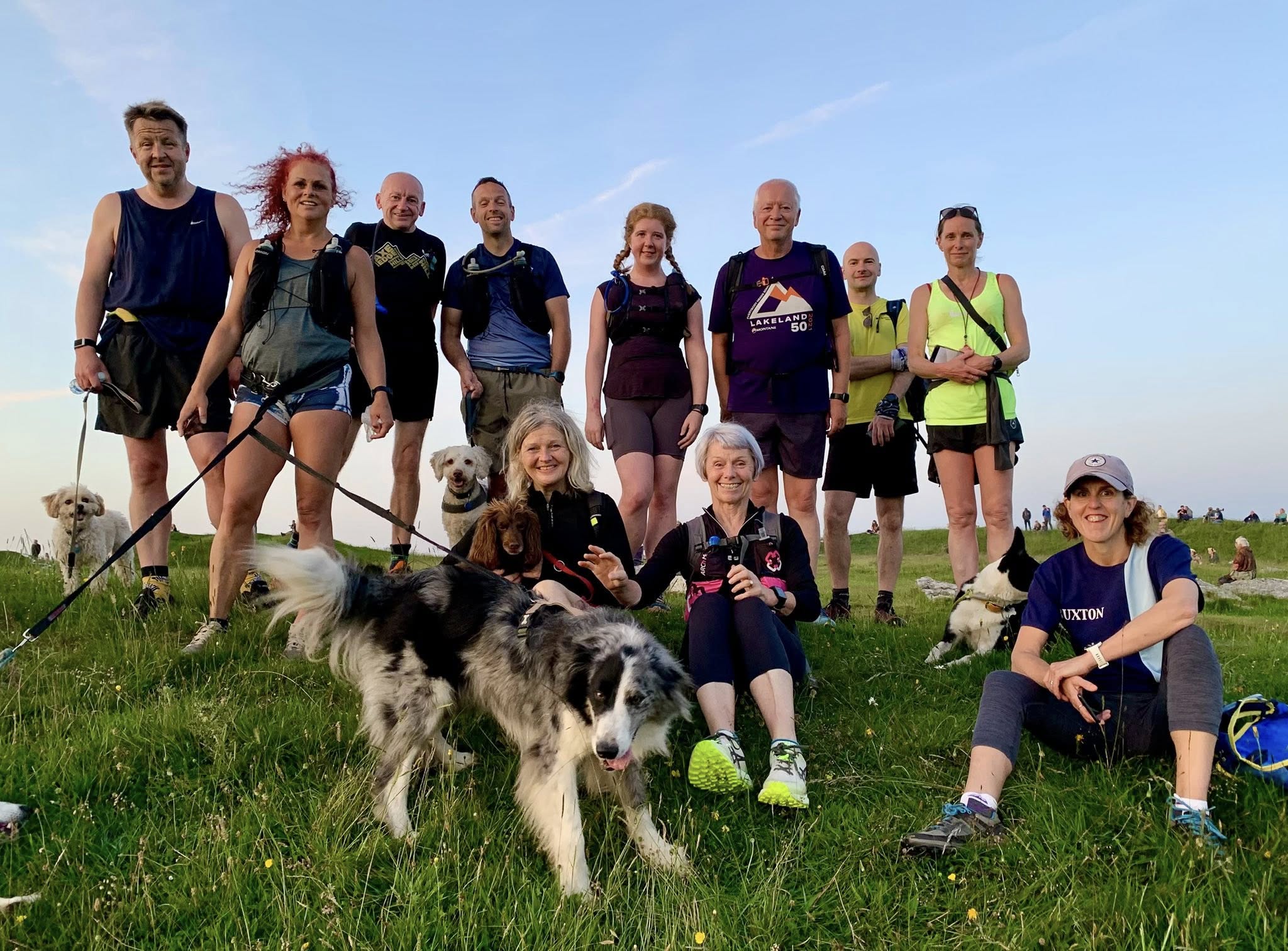An evening running group with their dogs
